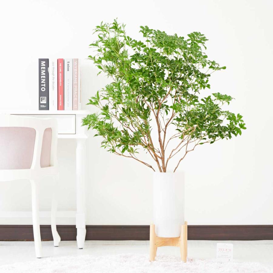 花瓶フラワー フラワーベース アセビ 脚付きシリンダー ホワイト Fb66 Sp Gifts Yahoo 店 通販 Yahoo ショッピング