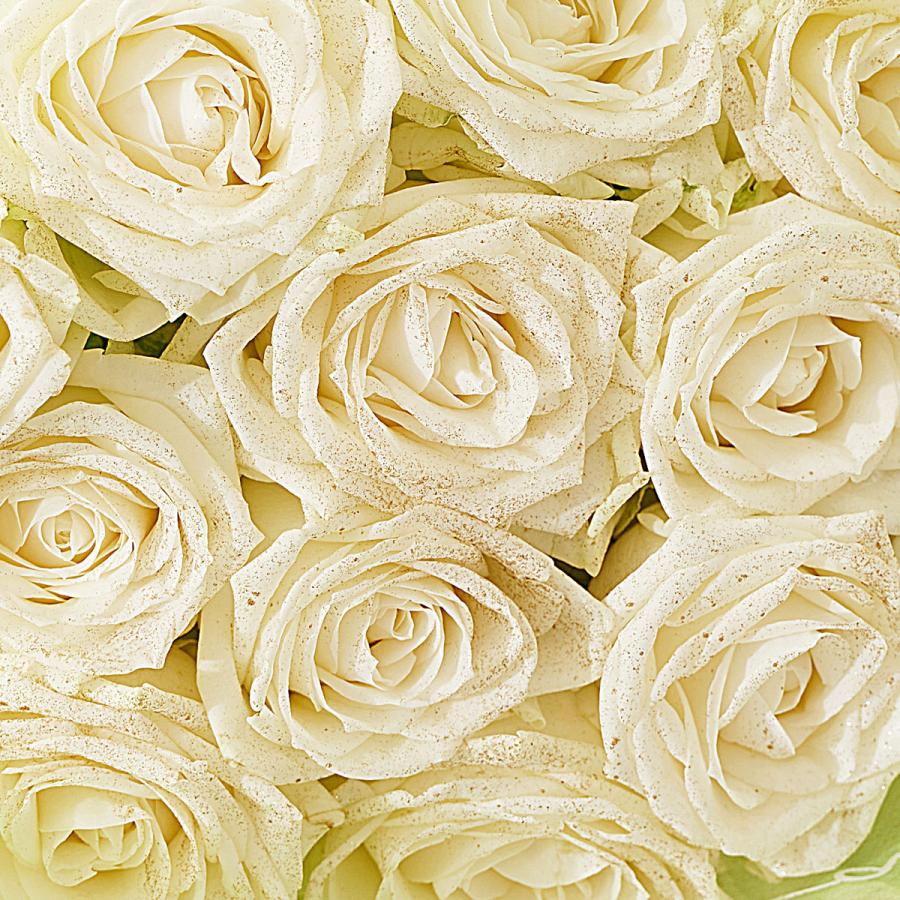 花束・ブーケ ゴールドラメ仕様（18金/K18）白バラ12本 : SP GiftS