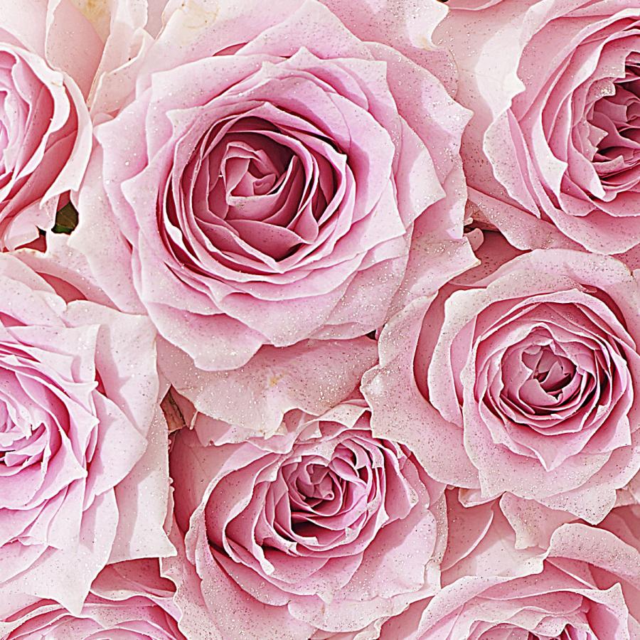 花束 ブーケ シルバーラメ仕様 ダイヤモンド ピンクバラ12本 Fl98 Sp Gifts Yahoo 店 通販 Yahoo ショッピング