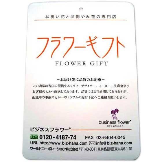 花とギフトのセット　選べる花色のカラー胡蝶蘭　彩 - irodori -　1本立（寒色系）と商品券（こども商品券10000円）【送料・カード・ラッピング無料】｜biz-hana｜04