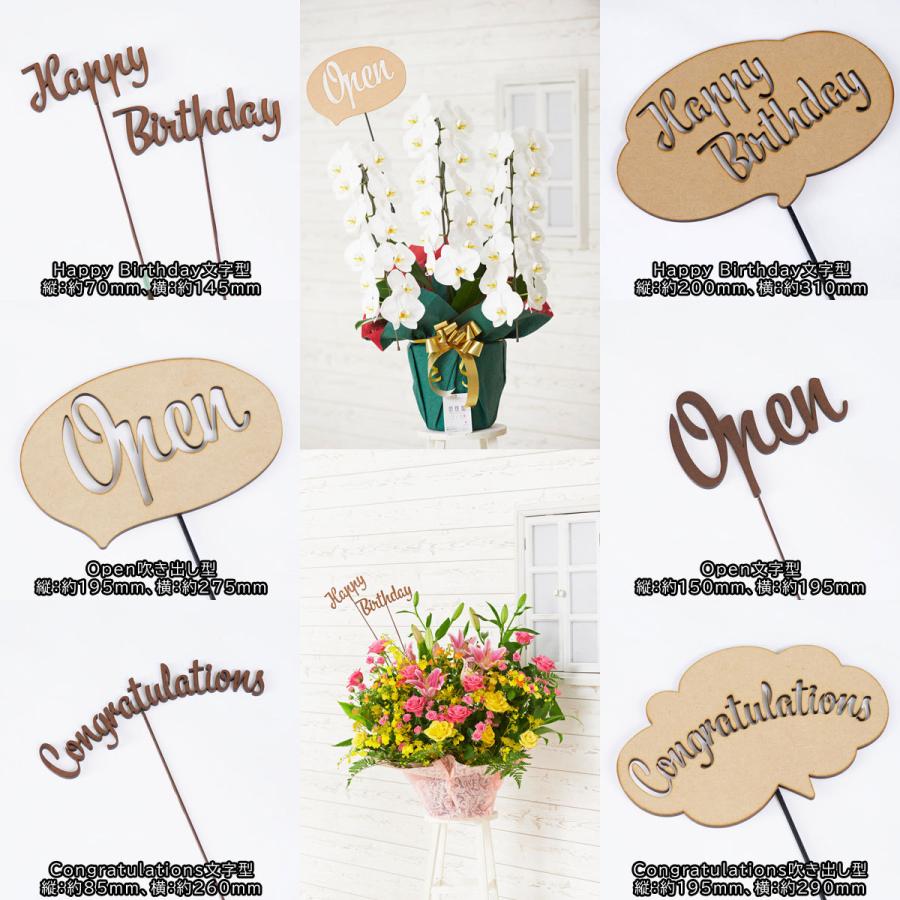 3d立体メッセージ札 Congratulations 文字型 付 観葉植物 パキラ 10号 バスケット鉢カバー付 花言葉カード付 Ka233 Sp Gifts Yahoo 店 通販 Yahoo ショッピング