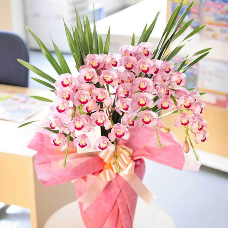 シンビジューム　4本立　アーチ仕立て（ピンク系）