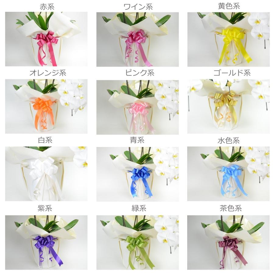 シンビジューム　4本立　アーチ仕立て（ピンク系） 