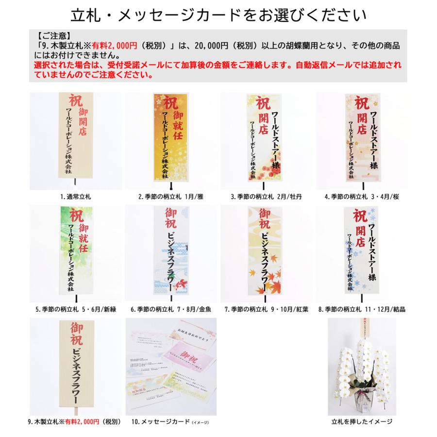 シンビジューム　4本立　アーチ仕立て（ピンク系） 