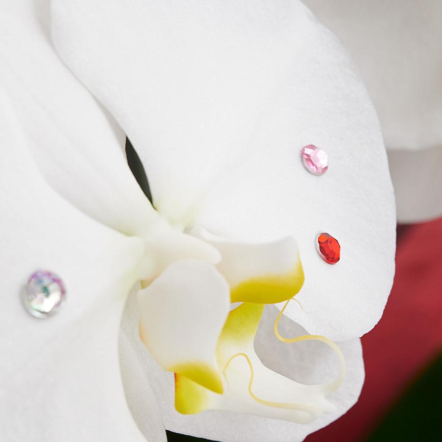 超歓迎 ストーン装飾 胡蝶蘭3本立 白 1 5万円コース 30輪程度 楽天市場 Www Pandas Com Br