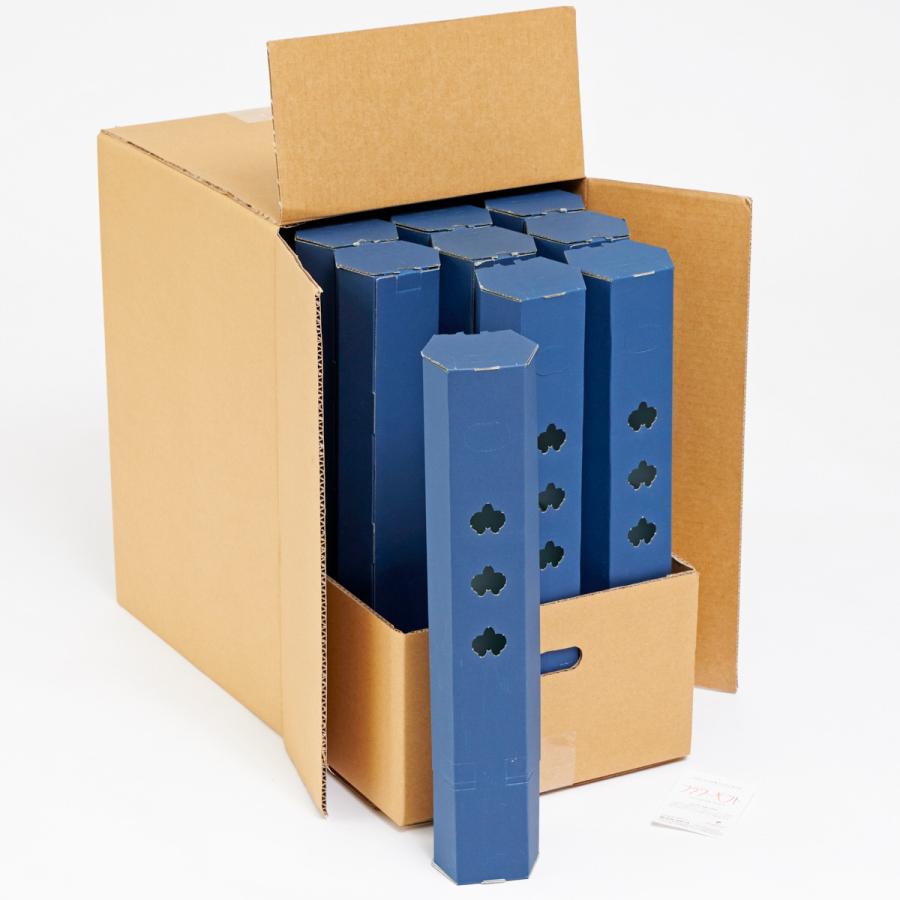 胡蝶蘭ミディ（ミニ胡蝶蘭）手土産胡蝶蘭（おまかせ）　1本立　12個セット ミニ胡蝶蘭