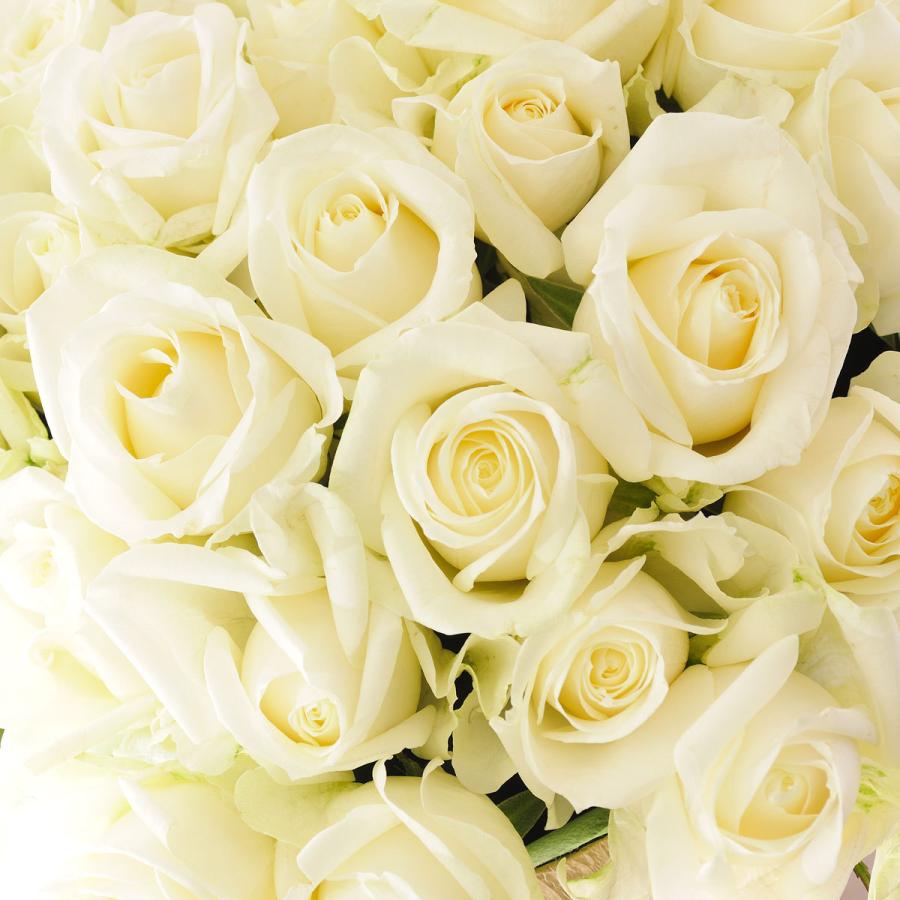 供花 モダンアレンジメントフラワー 白バラミックス Mサイズ Os159 Sp Gifts Yahoo 店 通販 Yahoo ショッピング