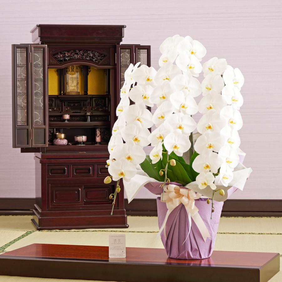 ご自宅専用 フューネラル胡蝶蘭3本立 白 3万円コース 45 51輪程度 Os167 Sp Gifts Yahoo 店 通販 Yahoo ショッピング