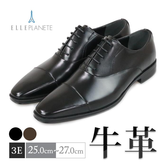 【ダークブラウン】【一部店舗+WEB限定】ロングノーズ 外羽根 ストレートチップシューズ 外羽根ストレートチップシューズ ブラウン | ONLY ONLINE STORE