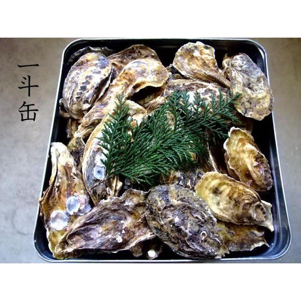殻付き生牡蠣 一斗缶 岡山県 邑久産 | 100個以上(10kg) ナイフ、軍手付き 生食可 殻付き カキ かき 殻付き牡蠣 生食用 送料無料|bizenyaki-nana|02