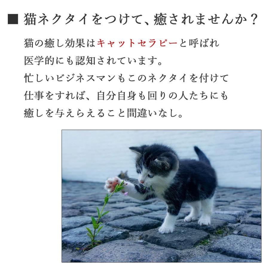 【送料無料】猫ネクタイ・猫タイピンセット ねこ セット メンズ 男性用 アニマル ブルー ネイビー 赤 レッド イエロー プレゼント ギフト｜bizmo｜16