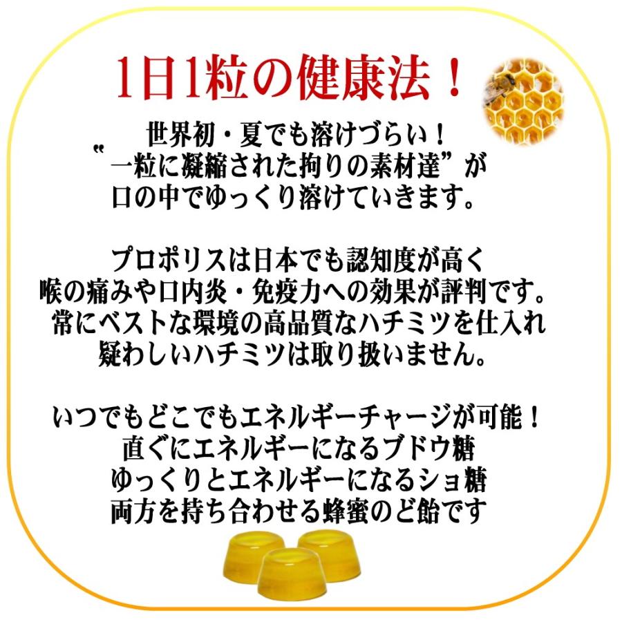 マヌカハニー はちみつ お試しセット のど あめ ドロップ キャンディー 体調 管理 アレルギー umf エネルギー チャージ|bj-direct|13