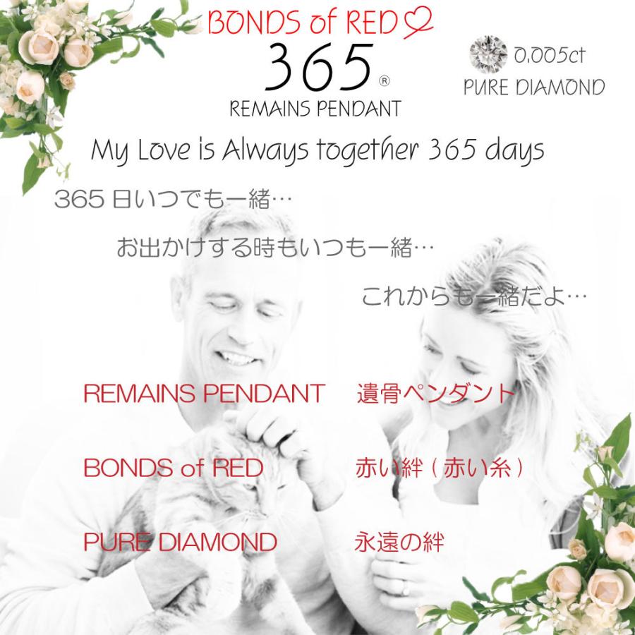 365 遺骨ペンダント 遺骨ネックレス ペット 赤い糸 Prp 004 ドッグ 316l リボン キャット 手元供養 メッセージ ネコ 猫 犬 イヌ 男女兼用 ステンレス 代引不可