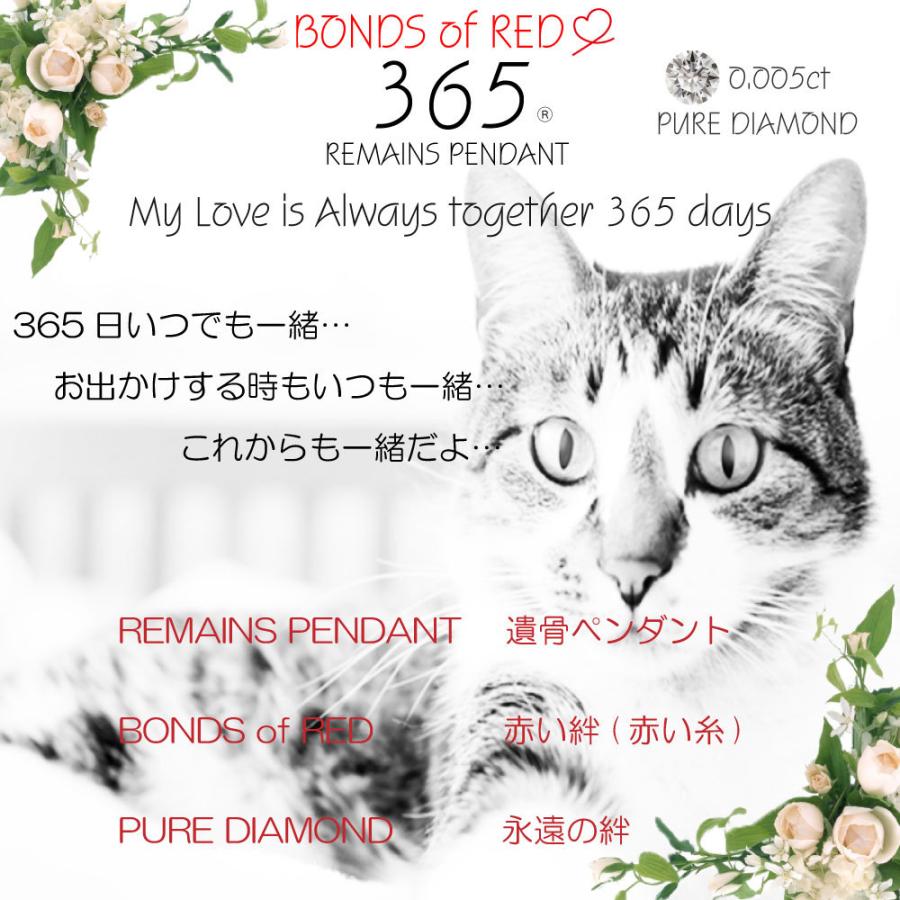 激安アウトレット Prpc 001 男女兼用 ダイヤモンド 316l ステンレス 365 ネコ キャット 猫 イラスト 肉球 メッセージ リボン 赤い糸 ペット 手元供養 遺骨ネックレス 遺骨ペンダント 365 日用品雑貨 文房具 手芸