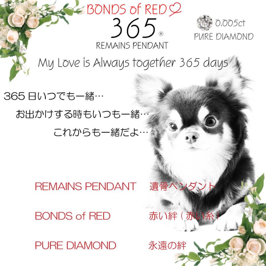 遺骨ペンダント 遺骨ネックレス 手元供養 ペット 赤い糸 リボン メッセージ 肉球 イラスト 犬 ドッグ イヌ 365 ステンレス 316l ダイヤモンド 男女兼用 Prpd 001 Bj Direct 通販 Yahoo ショッピング