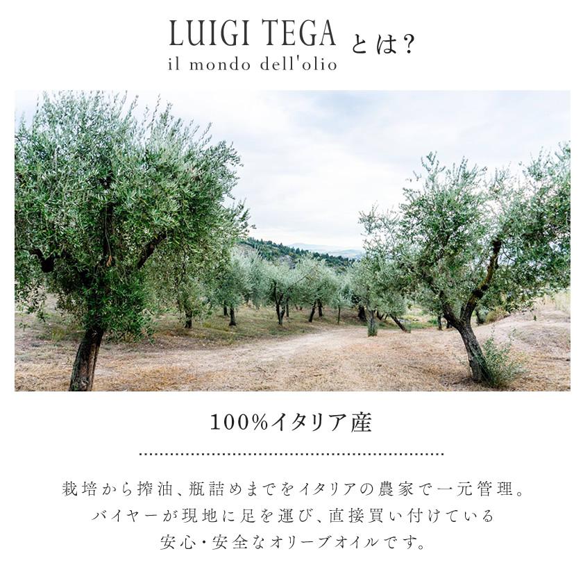 イタリア産 フレーバー ペペロンチーノ 唐辛子 250ml エキストラバージンオリーブオイル ルイジ テガ LUIGI TEGA 2022年秋収穫 [オリーブジャパン2019銀賞]｜bjkyoto｜03