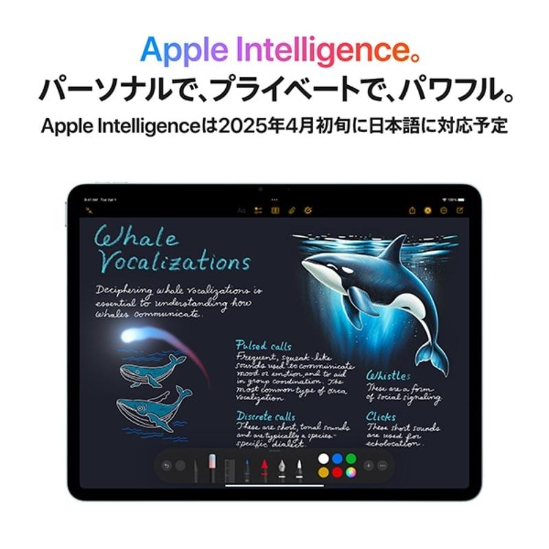 iPad Air 【新品】 Apple アップル M3 11インチ M3チップ 128GB Wi-Fi
