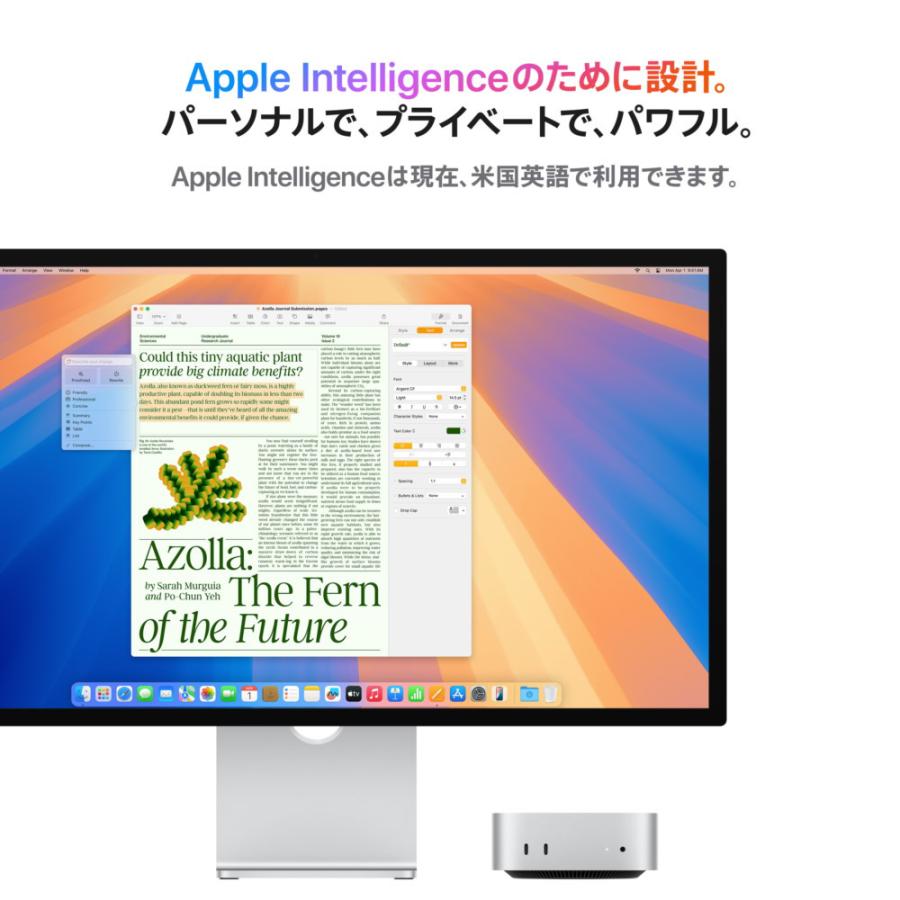 Mac mini アップル Apple Macmini M4 10CPU10GPU モニター無し/ メモリ