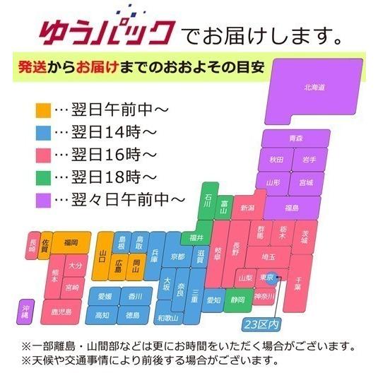 9cm ホシダカラガイ 星宝貝 開運グッズ 金運 財運 子宝 繁栄 健康 仕事