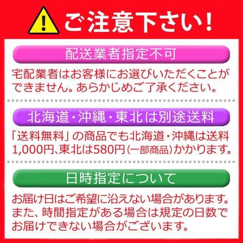 9cm ホシダカラガイ 星宝貝 開運グッズ 金運 財運 子宝 繁栄 健康 仕事