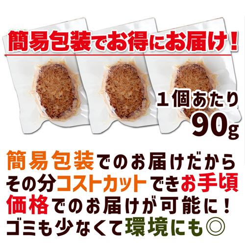 ヴィーガン  大豆ミート ハンバーグ 10個 ベジタリアン ビーガン 代用肉 ダイエット ダイエット食品 グルテンフリー 325211-10｜bkkn｜10