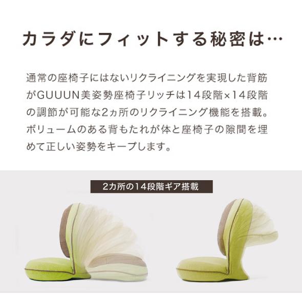 背筋がGUUUN 美姿勢座椅子 リッチ おしゃれ 座椅子 コンパクト 腰痛