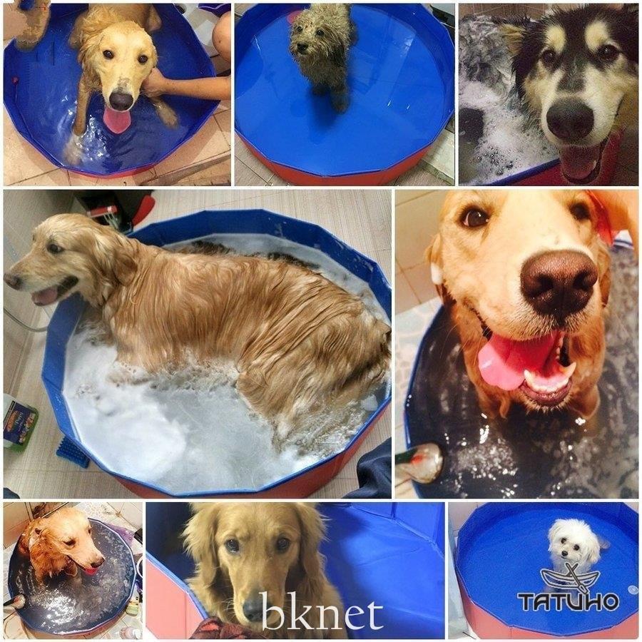 ペット用プール 犬 猫 バスグッズ ドッグプール 猫用プール 水遊び バスプール 犬猫お風呂 折り畳み 大中小型犬適用 丈夫 80 cm 正規店