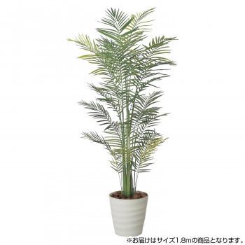 激安の 光の楽園 光触媒加工 人工観葉植物 アレカパーム1 8m 141f430 24 Cm Bkワールド 通販 Yahoo ショッピング 美しい Www Iccostierovico Edu It