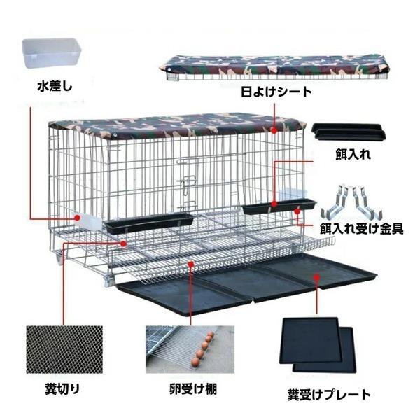 大型鳥かご 烏骨鶏 鶏 驚きの値段 バードゲージ 鳥籠 代引不可
