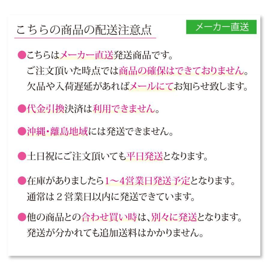 ナースシューズ 白 リゲッタ 軽量ベルト付きメンズシューズ RW-M0001 / オフィス 疲れにくい 日本製 stp｜bl-ange｜14