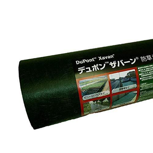 デュポンザバーングリーン　防草シート　350G　2m×30m