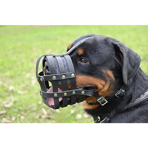 【大型犬 口輪】ロットワイラー 口輪 本革製 :s-0728350538348-20221110:blackships - 通販 - Yahoo!ショッピング 【大型犬 口輪】ロットワイラー 口輪 本革製 :s-0728350538348-20221110:blackships - 通販 - Yahoo!ショッピング
