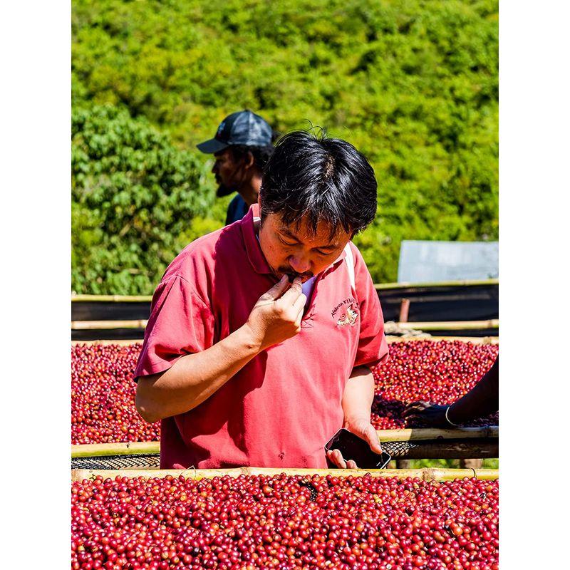 サザコーヒー 1杯取りコーヒー サザカップオン 将軍珈琲 12g×１００枚セット 業務用 大容量 オフィスに最適 深煎り ドリップバッグ 1杯取りコーヒー サザカップオン 将軍珈琲 12g×１００枚セット 業務用 大容量 オフィスに最適 深煎り ドリップバッグ