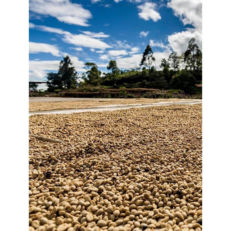 サザコーヒー 1杯取りコーヒー サザカップオン 将軍珈琲 12g×１００枚セット 業務用 大容量 オフィスに最適 深煎り ドリップバッグ 1杯取りコーヒー サザカップオン 将軍珈琲 12g×１００枚セット 業務用 大容量 オフィスに最適 深煎り ドリップバッグ