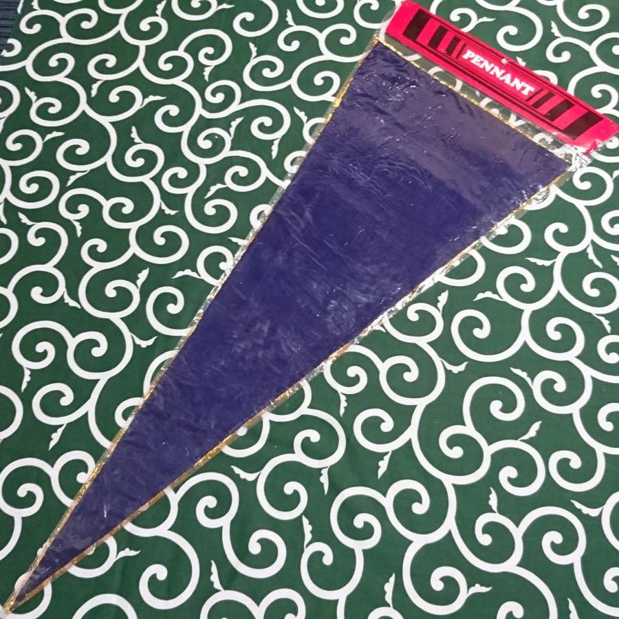 送料無料)特大 東尋坊 昭和レトロ ご当地 観光地 旅行 記念 お土産