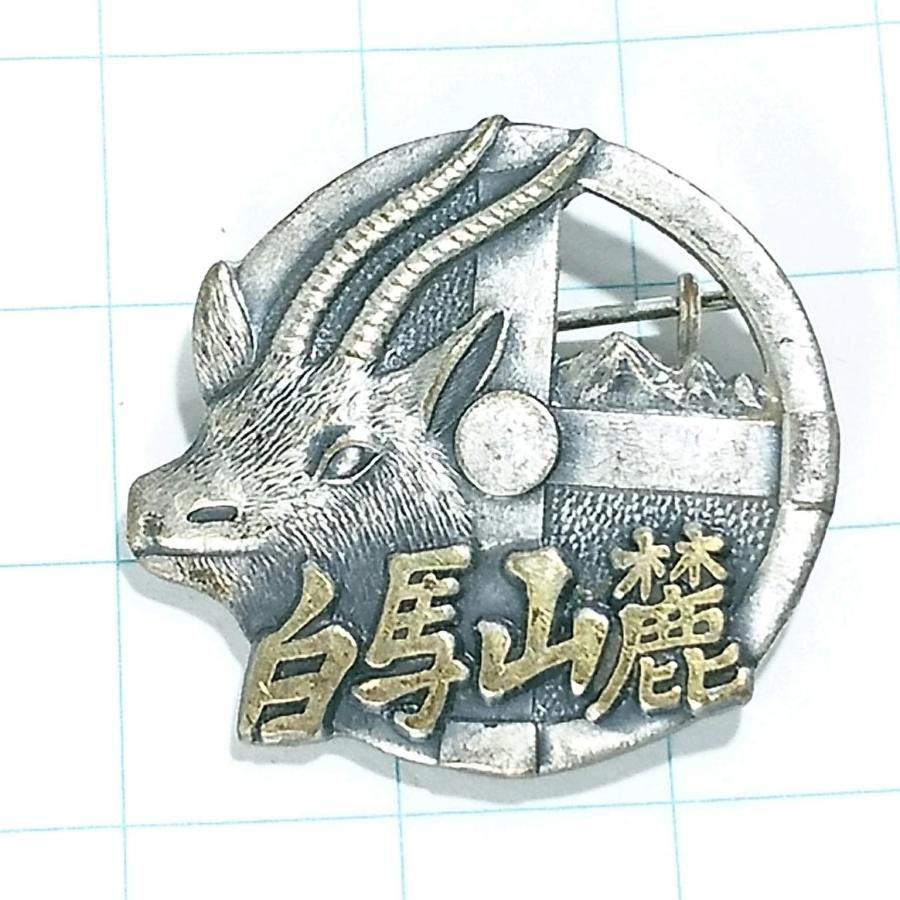 送料無料)白馬山麓 昭和レトロ ご当地 観光地 登山 山登り 旅行 記念