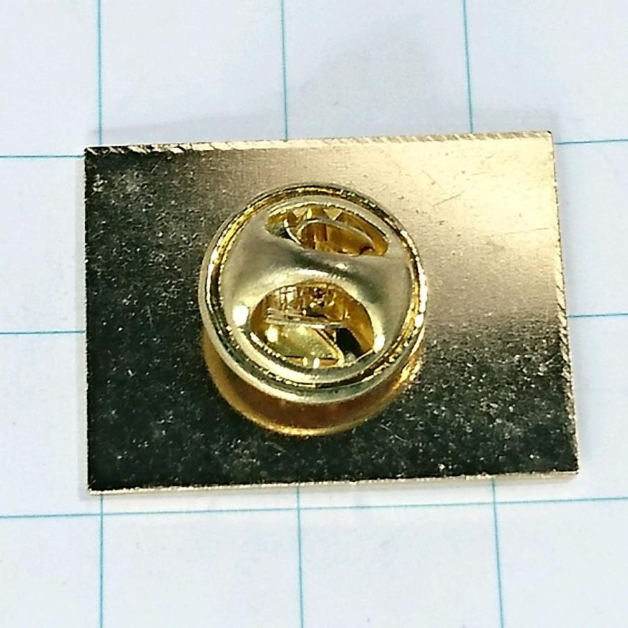 送料無料)REMY レミ フランス輸入 アンティーク PINS ピンズ ピンバッジ A13800 : a13800 : ビンテージ ブラック ...