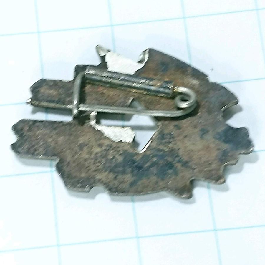 送料無料)御岳山 ご当地 観光地 登山 山登り 旅行 記念 山バッジ