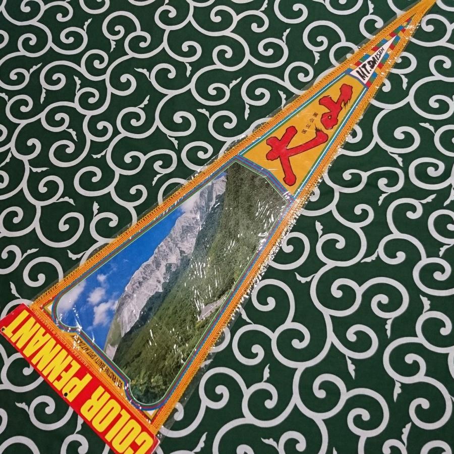 送料無料)大山 昭和レトロ ご当地 観光地 旅行 記念 お土産 全長92cm