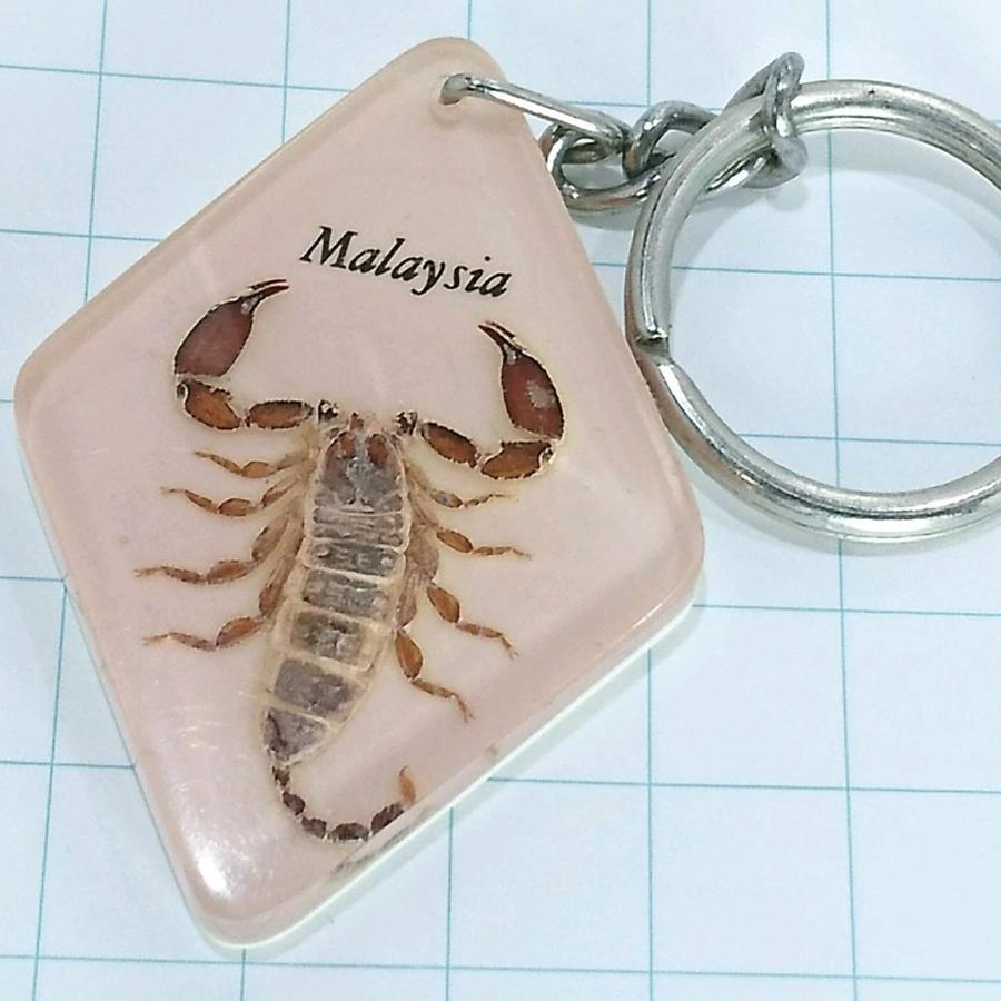 送料無料)サソリ マレーシア 海外 観光 旅行 登山 記念 キーホルダー