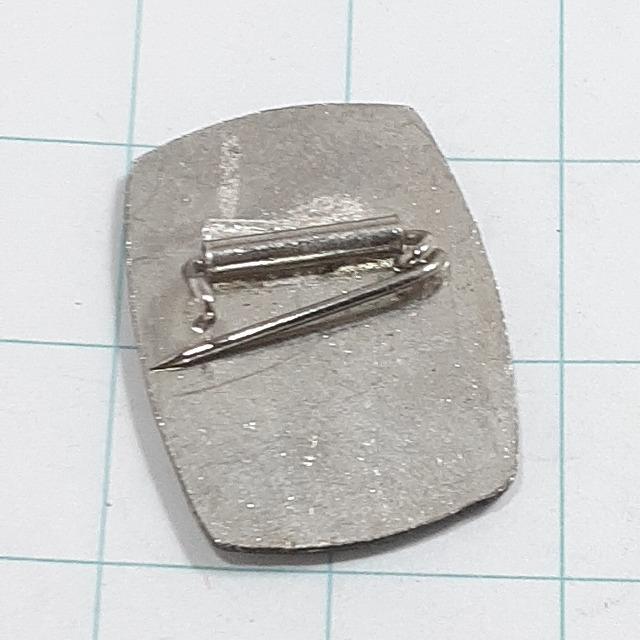 送料無料)湯沢スキー 観光 旅行 登山 記念 山バッジ ピンバッジ PINS
