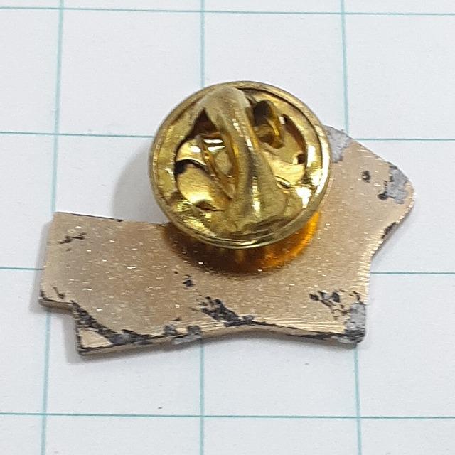 送料無料)トランプ TAPISVERT 輸入 ピンバッジ ピンズ PINS