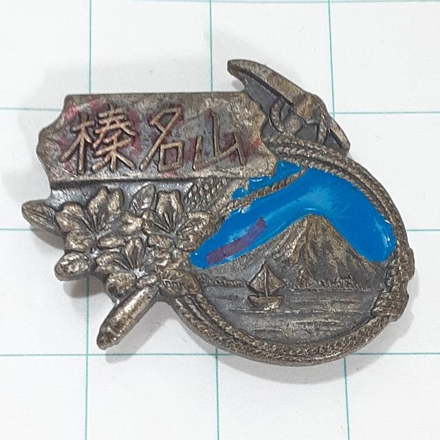 送料無料)榛名山 観光 旅行 登山 記念 山バッジ ピンバッジ PINS