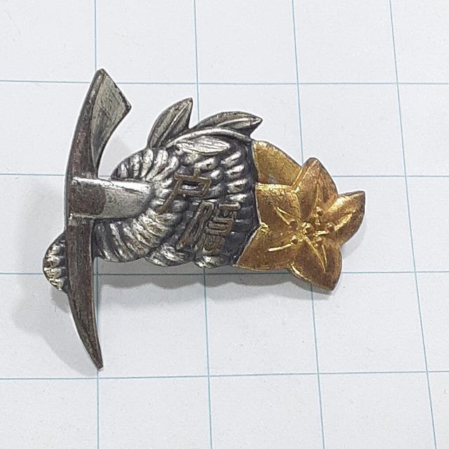 送料無料)戸隠高原 観光 旅行 登山 記念 山バッジ ピンバッジ PINS