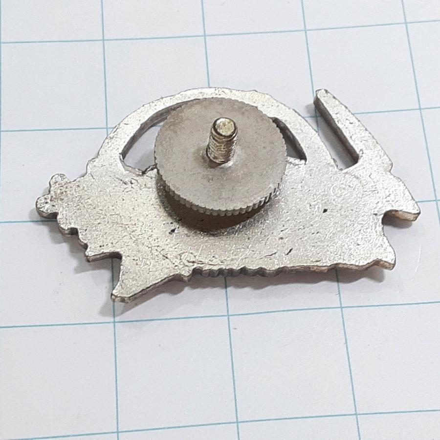 送料無料)伊豆ヶ岳 観光 旅行 登山 記念 山バッジ ピンバッジ PINS