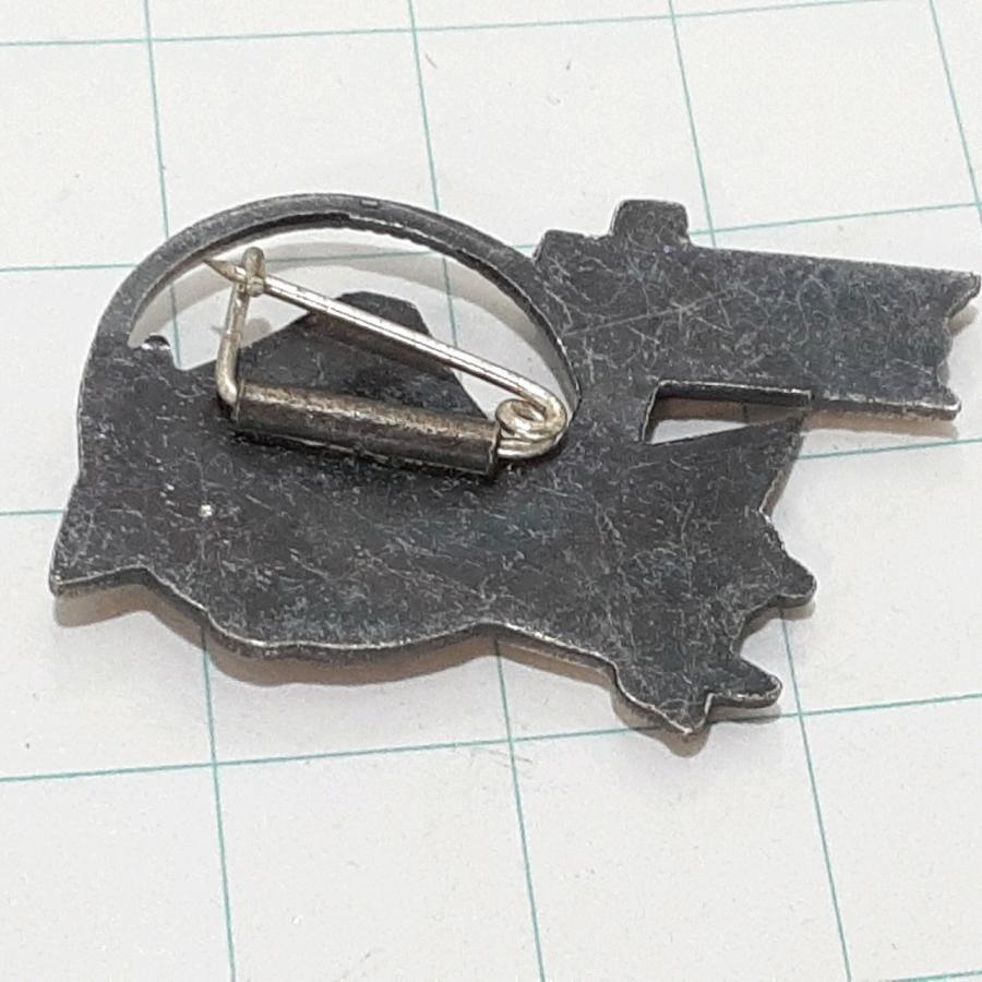 送料無料)富士頂上 観光 旅行 登山 記念 山バッジ ピンバッジ PINS