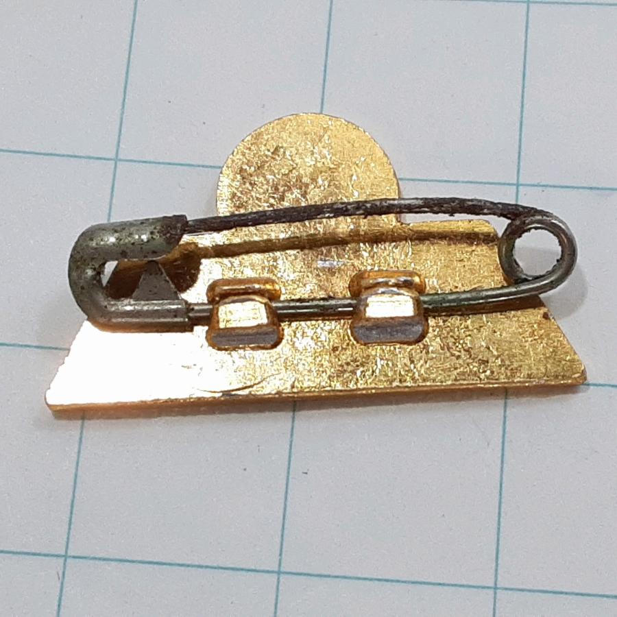 送料無料)中日ドラゴンズ プロ野球 ピンバッジ PINS ピンズ A32659