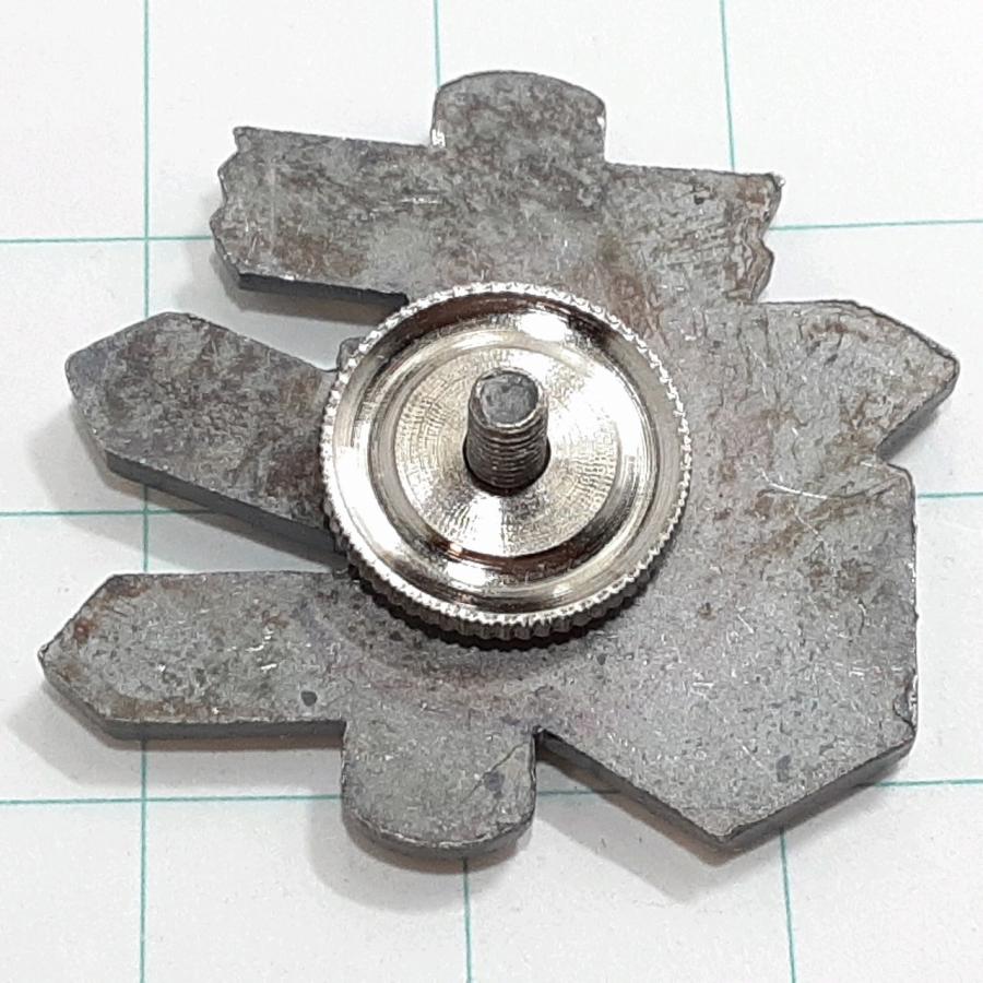 送料無料)奥上高地 観光 旅行 登山 記念 山バッジ ピンバッジ PINS