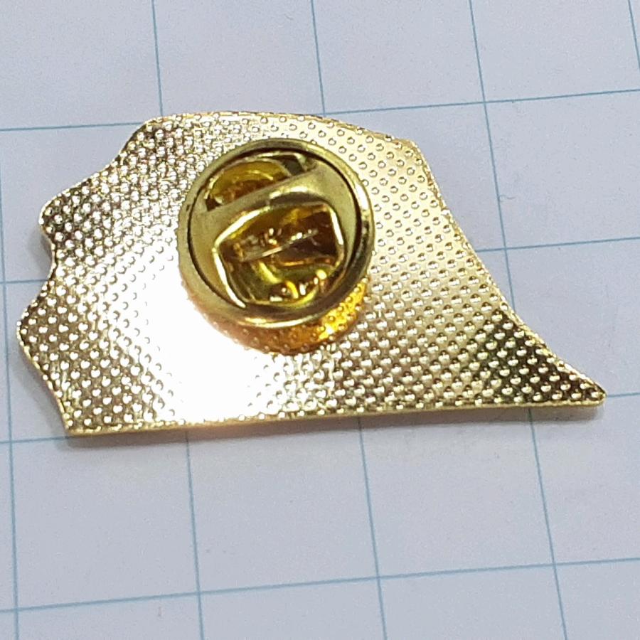 送料無料)富士山 観光 旅行 登山 記念 山バッジ ピンバッジ PINS