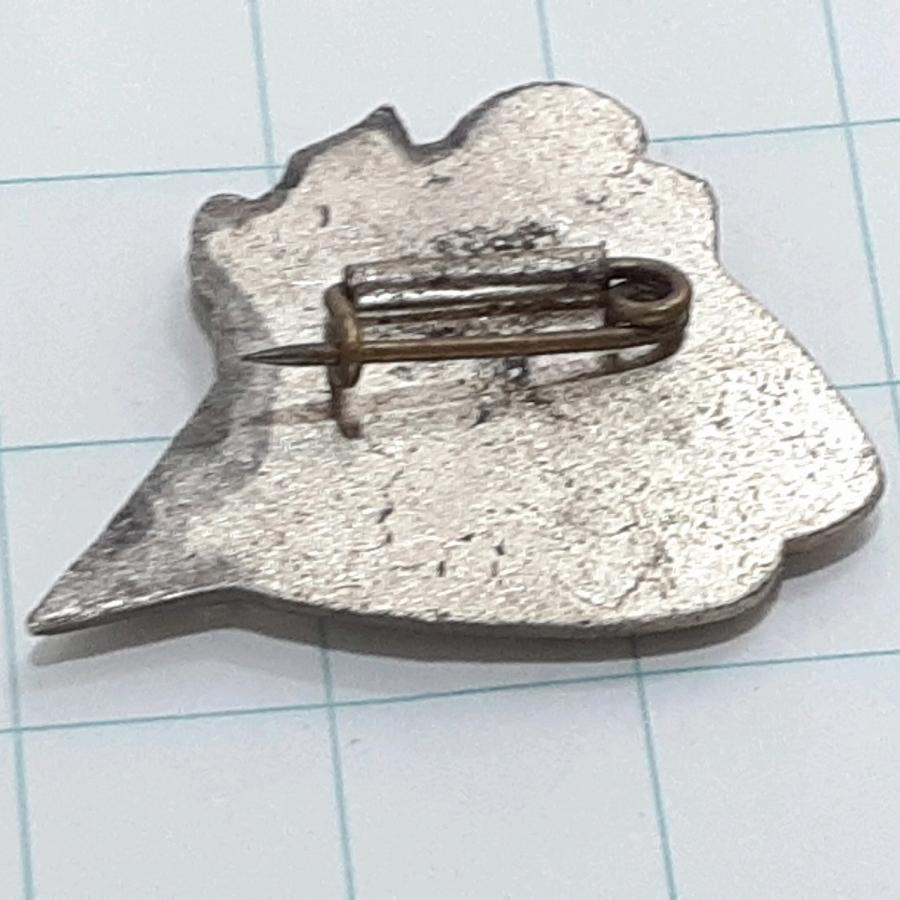 送料無料)比叡山 観光 旅行 登山 記念 山バッジ ピンバッジ PINS